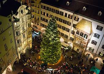 Vnon strom Innsbruck